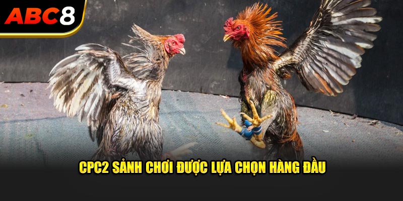 CPC2 Sảnh chơi được lựa chọn hàng đầu