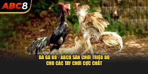 da-ga-88-abc8-san-choi-trieu-do-cho-cac-tay-choi-cuc-chat