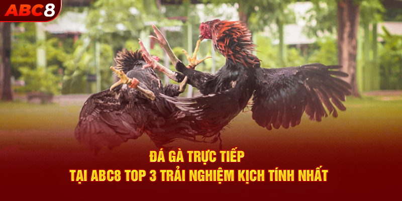 da-ga-truc-tiep-tai-abc8-top-3-trai-nghiem-kich-tinh-nhat