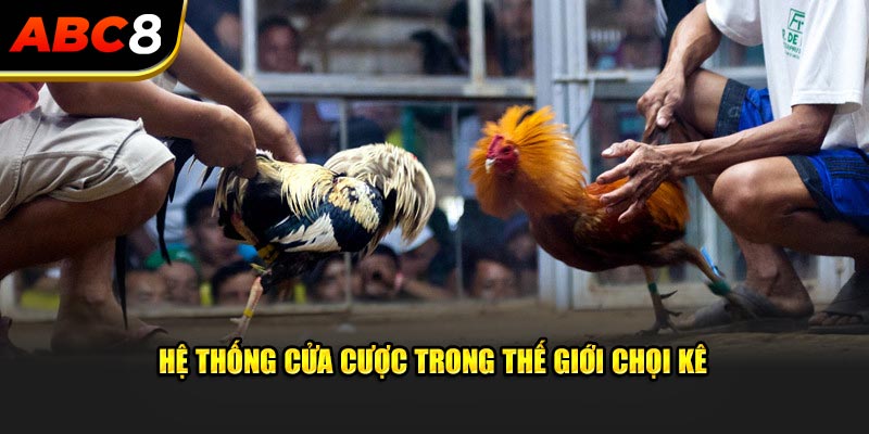 Hệ thống cửa cược trong thế giới chọi kê 