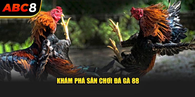 Khám phá sân chơi đá gà 88