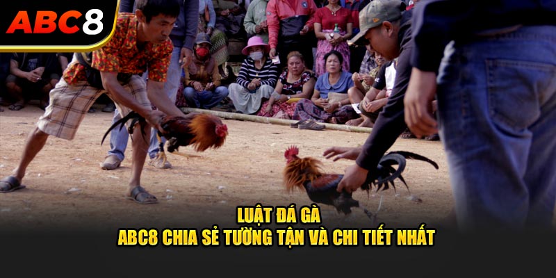 luat-da-ga-abc8-chia-se-tuong-tan-va-chi-tiet-nhat-